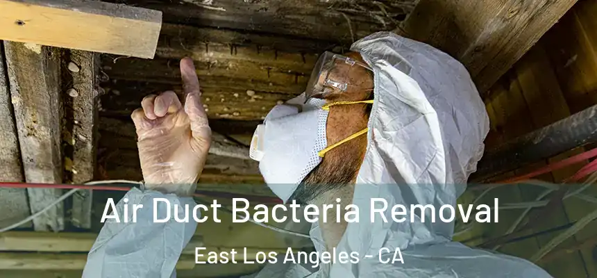 Air Duct Bacteria Removal East Los Angeles - CA