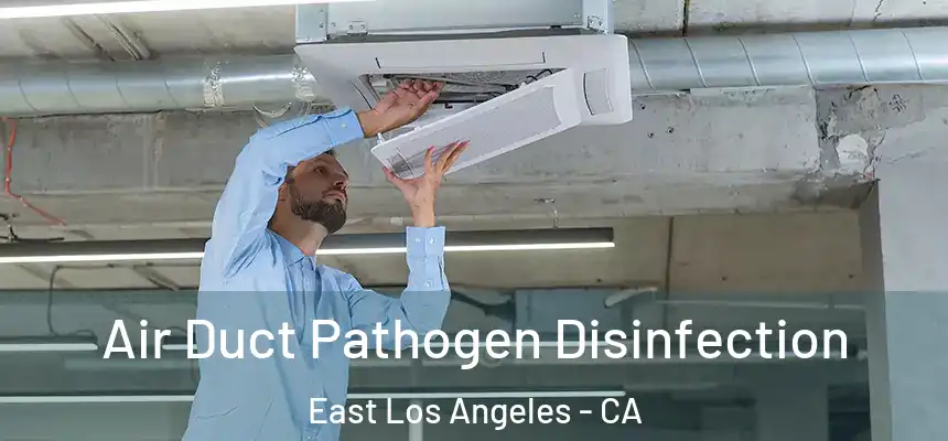 Air Duct Pathogen Disinfection East Los Angeles - CA