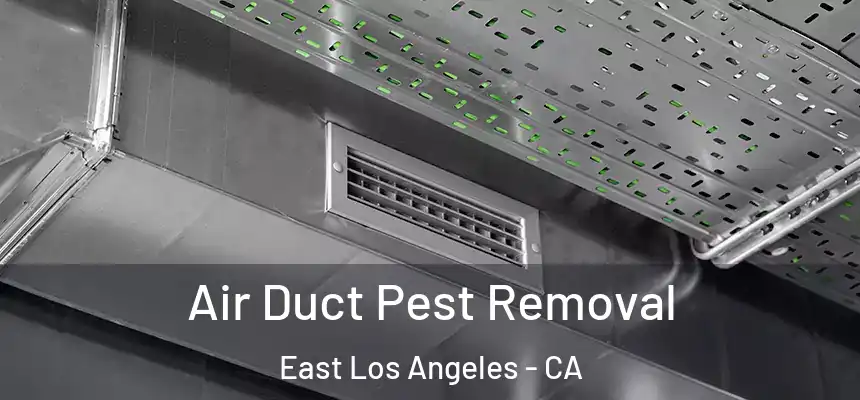  Air Duct Pest Removal East Los Angeles - CA