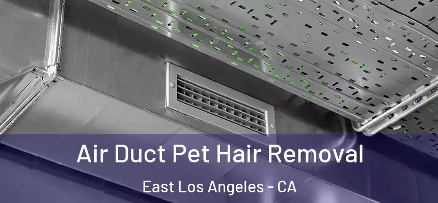  Air Duct Pet Hair Removal East Los Angeles - CA