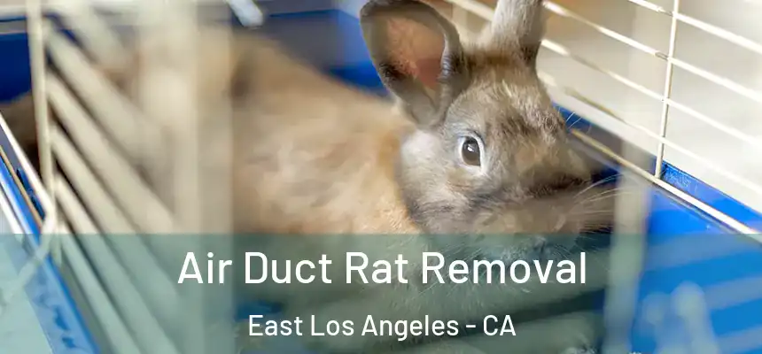 Air Duct Rat Removal East Los Angeles - CA