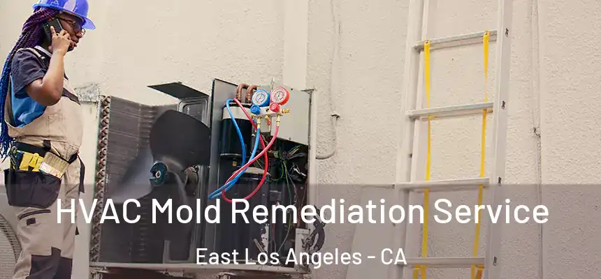 HVAC Mold Remediation Service East Los Angeles - CA