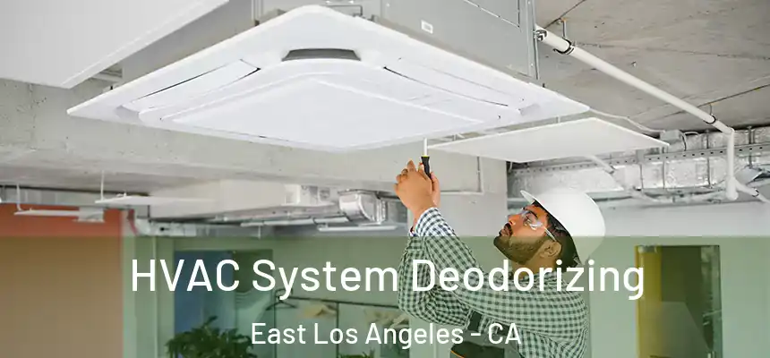 HVAC System Deodorizing East Los Angeles - CA