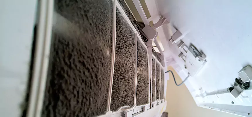 Preventive Air Duct Bacteria Removal in East Los Angeles