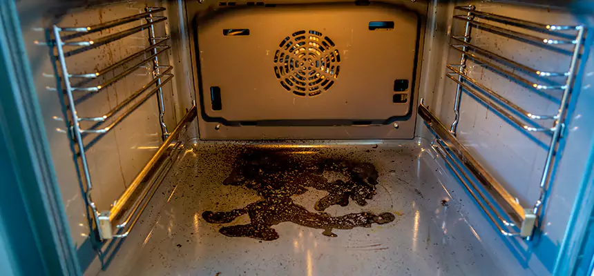 Our Dryer Vent Mold Cleaning Services in East Los Angeles, CA