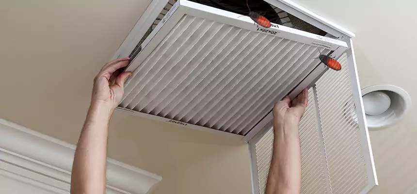 Our Insect Removal from Air Ducts Services in East Los Angeles, CA