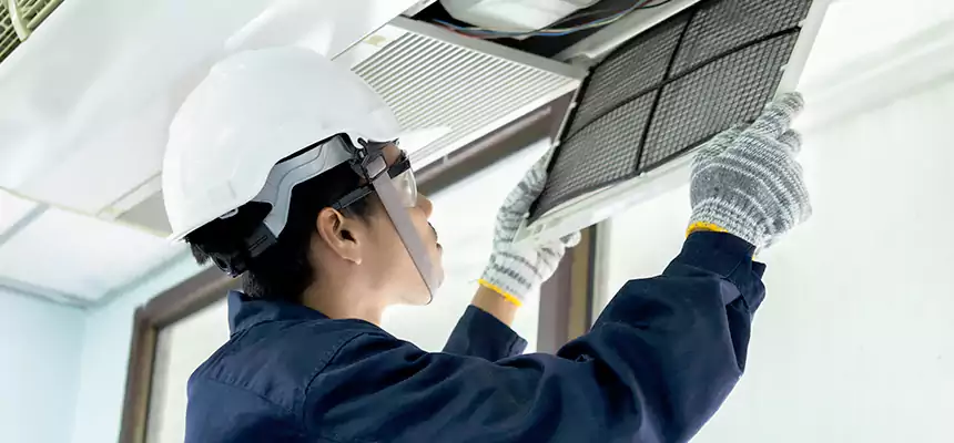 Our Mold & Mildew Removal from Air Ducts Services in East Los Angeles, CA