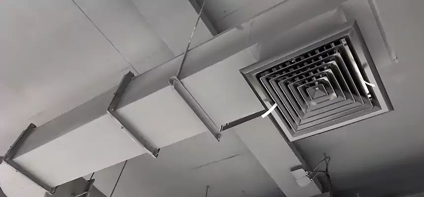 Our Pest Removal From Ducts Services in East Los Angeles, CA