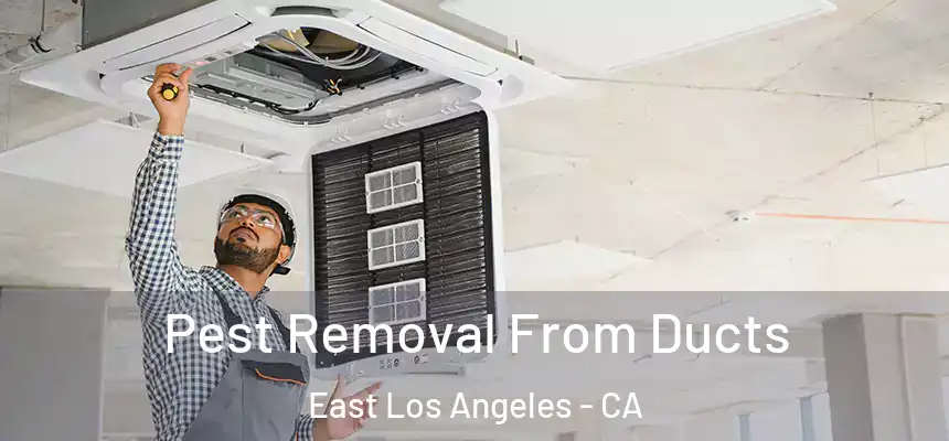 Pest Removal From Ducts East Los Angeles - CA