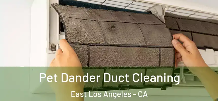 Pet Dander Duct Cleaning East Los Angeles - CA