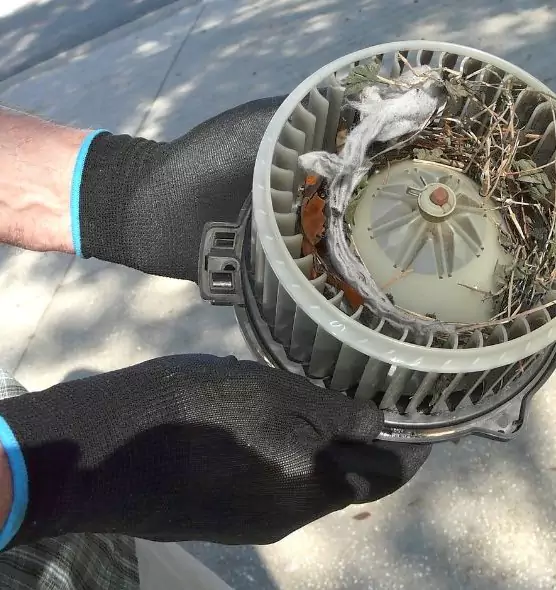 About Air Duct Rat Removal in East Los Angeles, CA