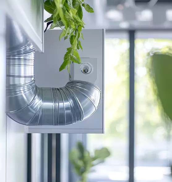 Professional Eco-Friendly Duct Cleaning Services in East Los Angeles, CA