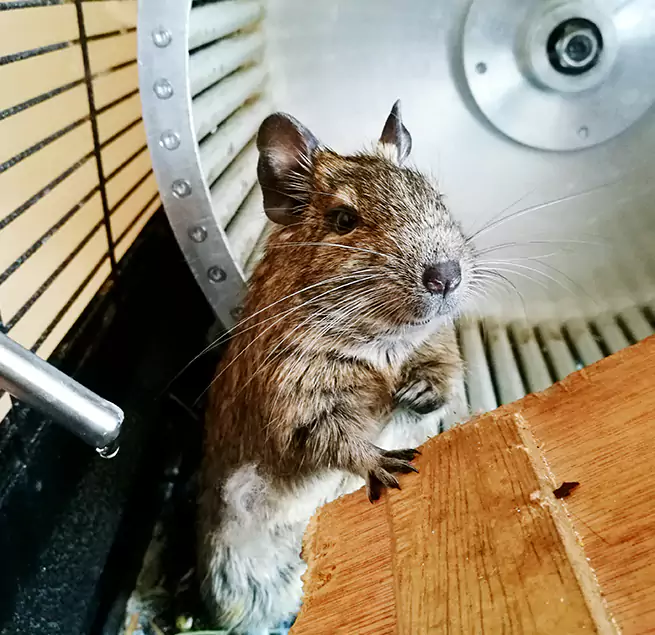 Why Homeowners & Businesses Trust Us East Los Angeles, CA