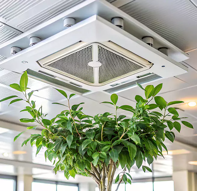 Why Homeowners & Businesses Trust Us in East Los Angeles, CA