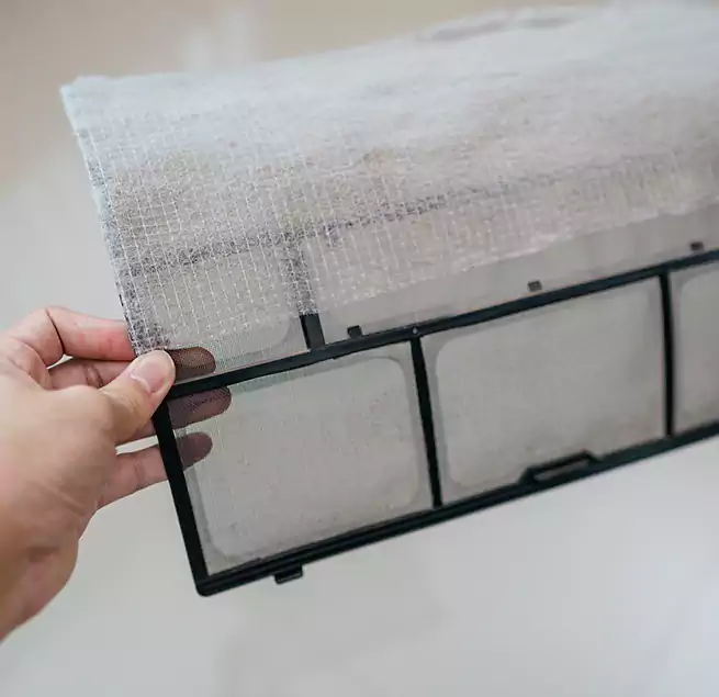 Why Homeowners & Businesses Trust Us in East Los Angeles, CA?