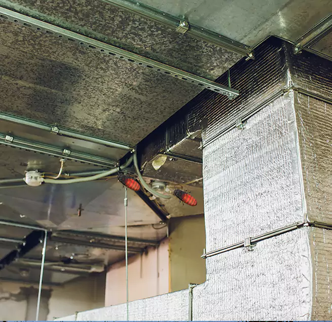 Why Homeowners & Businesses Trust Us East Los Angeles, CA?