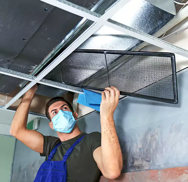 Why Homeowners Businesses Trust Us in East Los Angeles, CA